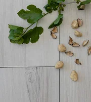 WOOD HOME COTTON