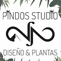 Pindos Studio