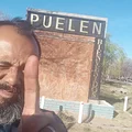 Los 4 palos