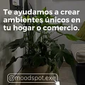 Moodspot