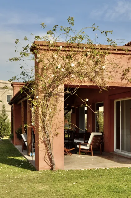 Patio con galería de ladrillo terracota, enredadera natural y deck de madera — proyecto San Francisco 1, por Marconi Silva Arquitectos, en Manzanares