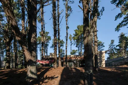Fachada de madera rústica moderna entre árboles altos — proyecto Costa Esmeralda Casa MAI Lote 374 Deportiva, por Arquitecto Caceres, en Costa Esmeralda