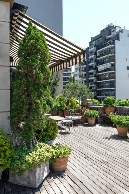 Terraza con pergola de madera, plantas trepadora y macetas terracota — proyecto Estudio Cerviño, por Estudio Du , en Palermo