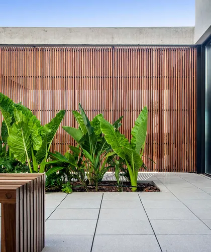Patio moderno con plantas tropicales y muro de listones de madera — proyecto CASA J2M, por GMARQ, en Belén de Escobar