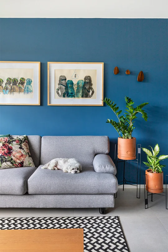 Living con sofá gris, pared azul, cuadros y plantas en macetas terracota — proyecto Apartamento 415N, por Coda Arquitetos