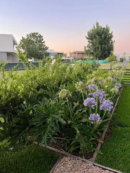 Jardín moderno con flores lilas y arquitectura blanca — proyecto CAN., por Baires Green, en Canning