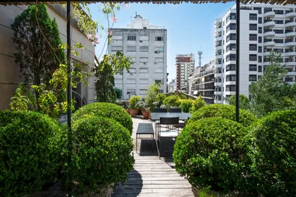 Terraza contemporánea con vegetación, deck y vista a edificios urbanos — proyecto Estudio Cerviño, por Estudio Du , en Palermo