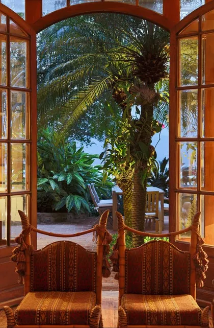 Terraza con puertas abiertas, sillas de cuero y palmera tropical al fondo — proyecto Arquitetura e Interiores I, por Demian Golovaty