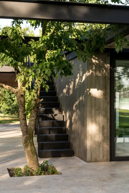 Exterior moderno con árbol integrado en escalera de concreto — proyecto CASA AC , por BUSCETTI & DI BERNARDO arquitectas, en Villa Elisa