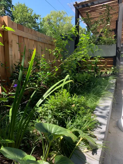 Jardín con vallas de madera y pérgola moderna — proyecto ANGI´S, por Paisajistas de Argentina, en San Isidro