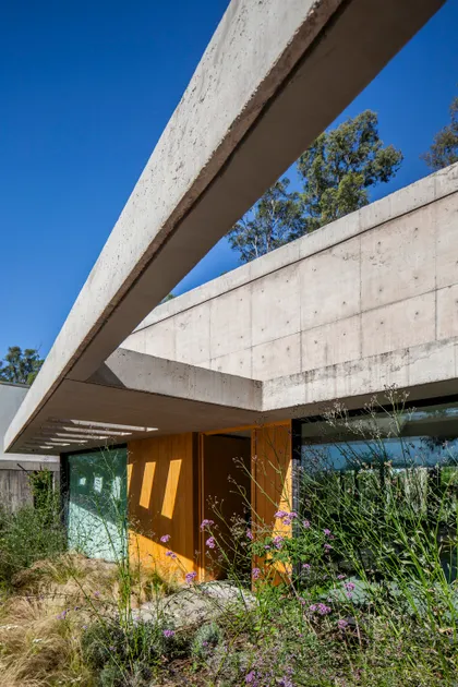 Fachada moderna con hormigón visto y vegetación exuberante — proyecto Casa ALVA, por V2 Arquitectos, en City Bell