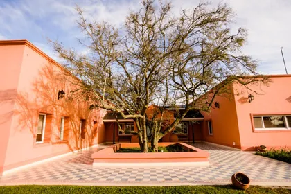 Fachada mediterránea con gran árbol y patio a cuadros — proyecto La casa del árbol, por Estudio Fernandez Long & asoc., en Canning
