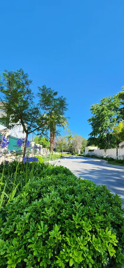 Jardín frondoso con camino curvo y cielo azul — proyecto Finca Sarmiento, por Estudio Rifahi, en Martínez