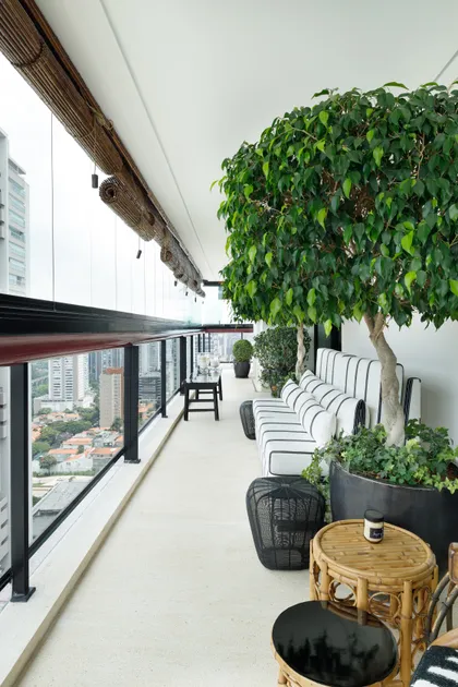 Balcón moderno con sofá a rayas y árbol interior — proyecto APTO EDISON, por Yannick Athia, en São Paulo