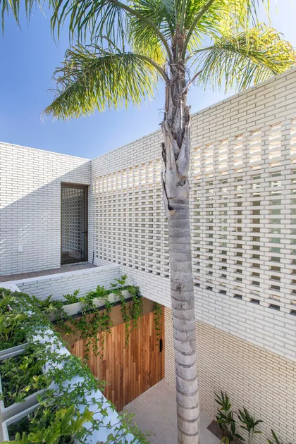 Fachada moderna con bloques de aireación y palmera alta — proyecto Casa Magnolia, por Estudio PK, en San Isidro