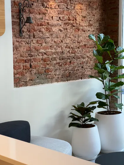 Pared de ladrillo expuesto con campana antigua y plantas modernas — proyecto REMAX DEL PLATA , por Estudio Grupo 32, en Buenos Aires