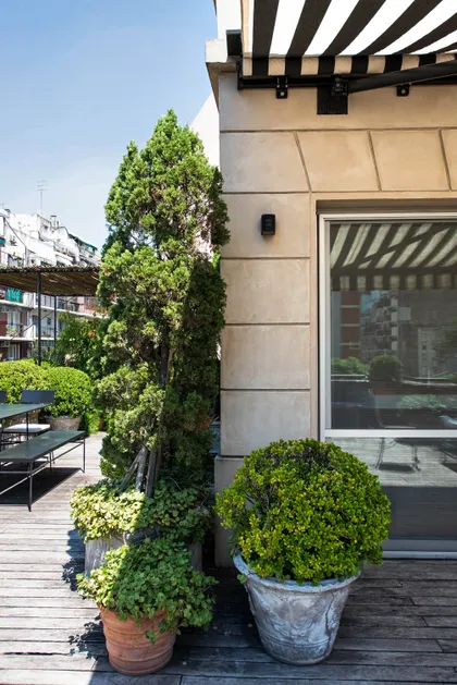 Terraza moderna con pergola, plantas en macetas y vista urbana — proyecto Estudio Cerviño, por Estudio Du , en Palermo