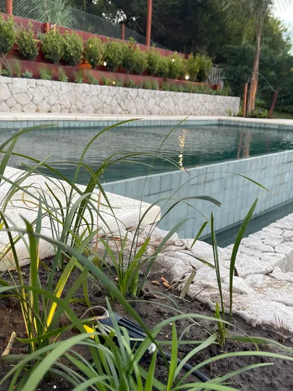 Pileta con vegetación y muro de piedra, estilo moderno — proyecto COSTA ESMERALDA, por Baires Green, en Pinamar