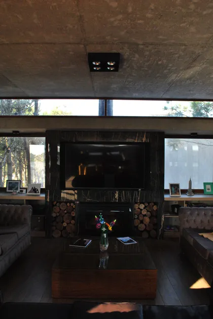 Living moderno con techo de concreto y chimenea de leña — proyecto Casa FSC, por TAVA Coop, en Pinamar