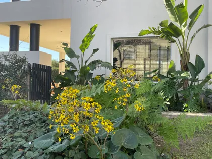 Fachada moderna con jardín exuberante y grandes ventanales — proyecto Ayres LG, por Baires Green, en San Isidro