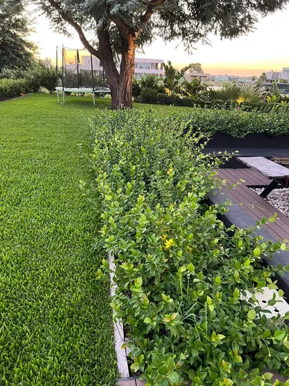 Patio suburbano moderno con césped, trampolín y vegetación exuberante — proyecto CAN., por Baires Green, en Canning