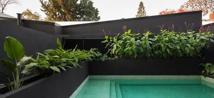 Jardín moderno con piscina, pared verde y maceteros elevados negros — proyecto Achalay, por Epífita Arquitectura & Paisaje, en Buenos Aires
