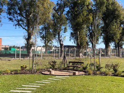 Patio con árboles, banco rústico bajo pérgola y sendero de piedras — proyecto Proyecto Santa Elena, por Celina Sammartino Paisajismo, en Pilar