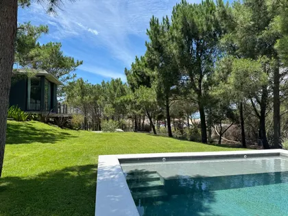 Pileta moderna en bosque con fachada vidriada — proyecto Casa CE, por Estudio FORSCH, en Pinamar