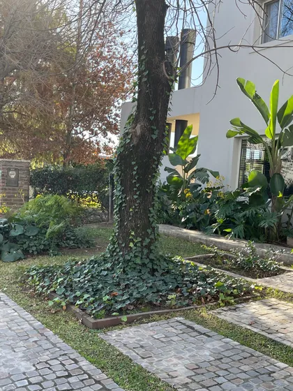 Fachada moderna con árbol cubierto de hiedra y patio de piedra — proyecto Ayres LG, por Baires Green, en San Isidro