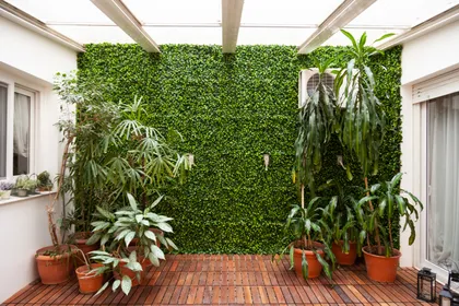 Patio con pared verde y deck de madera bajo techo vidriado — proyecto Obra Azcuenaga MI, por Arq. Lourdes Yarade Saravia, en Buenos Aires