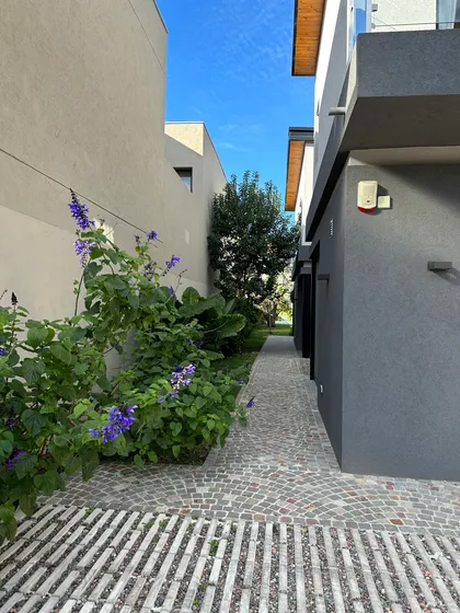 Fachada moderna con camino de piedra y vegetación exuberante — proyecto Casa Belen, por Arq. Damian Fainzilber, en San Isidro
