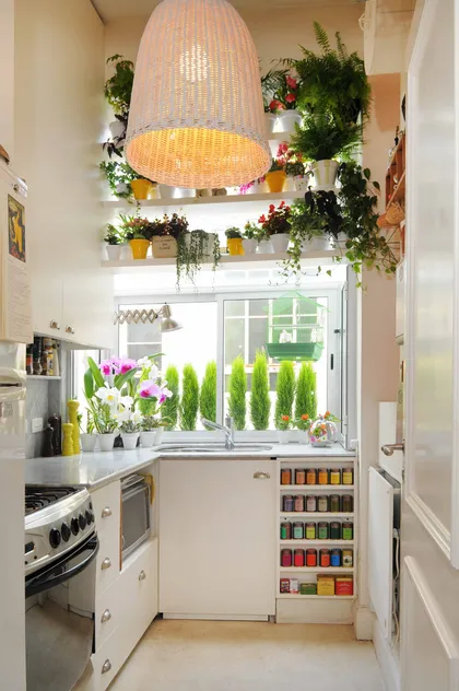 cocina blanca con abundante luz y estantes de plantas — proyecto Dpto Santa Fe, Recoleta, por Marconi Silva Arquitectos, en Recoleta