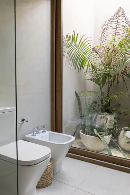 Baño moderno brutalista con patio interior y plantas tropicales — proyecto Casa Al Agua - Grupo PAUTA, por Gaby Alfonso, en Belén de Escobar