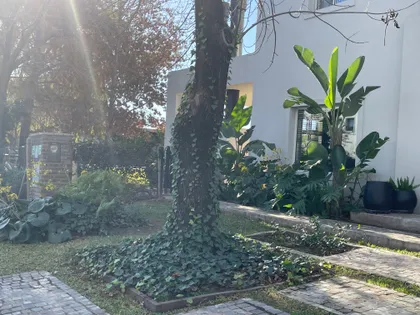 Fachada moderna con árbol imponente y jardín exuberante — proyecto Ayres LG, por Baires Green, en San Isidro