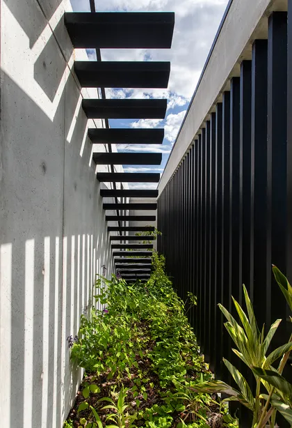Pasillo de jardín moderno con pergola negra y vegetación tropical — proyecto CASA CONSERVATORIO, por GMARQ, en Belén de Escobar