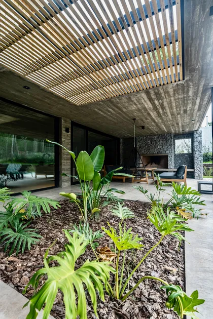 Patio moderno con pérgola de madera, hormigón y vegetación exuberante — proyecto casa la huella, por Guerrero Arquitectos, en Pinamar