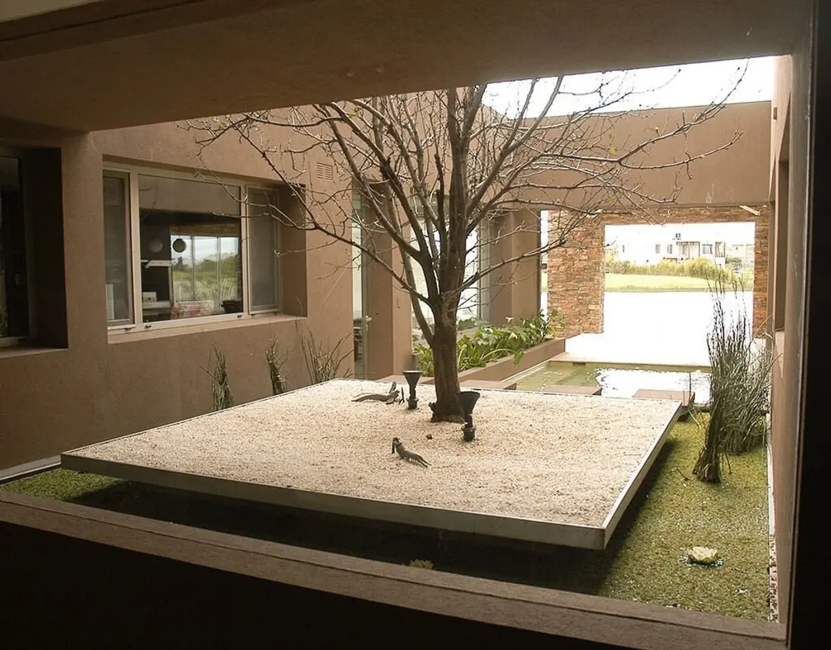 Pátio moderno com árvore central e paredes de concreto — projeto Paisajismo Agua, por Ricardo Pereyra Iraola