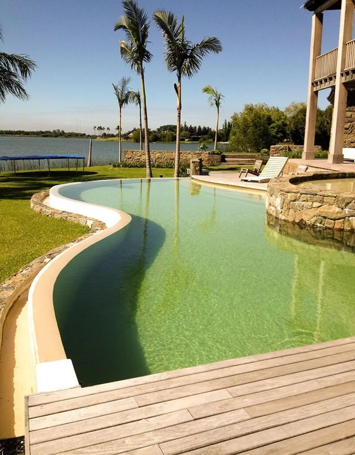 Piscina moderna con borde infinito curvo y deck de madera, rodeada de palmeras — proyecto Terrazas a La Laguna, por Ricardo Pereyra Iraola 