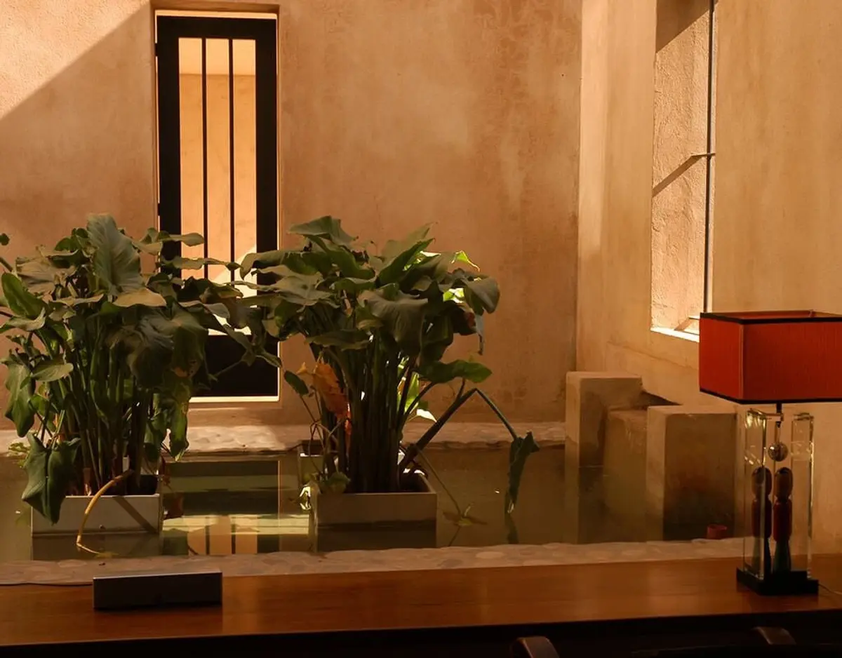 Hall de estilo mediterráneo moderno con plantas y luz cálida — proyecto Jardín Interior, por Ricardo Pereyra Iraola 