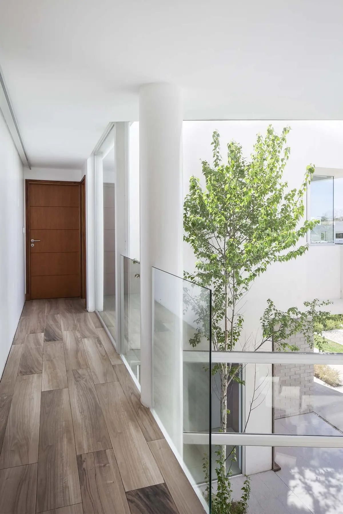 Pasillo moderno con patio central y árbol, suelo de madera y vidrio — proyecto Casa MA, por Estudio GR, en City Bell