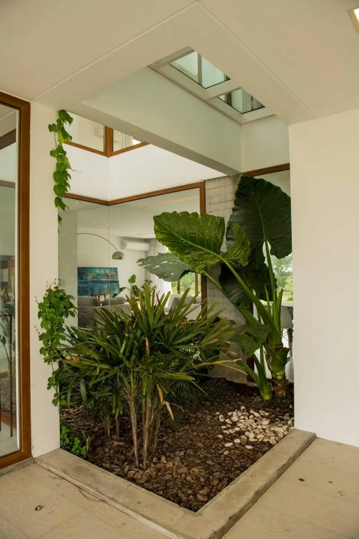 Jardín interior moderno con plantas tropicales y tragaluces — proyecto Casa ME, por Estudio GR, en City Bell