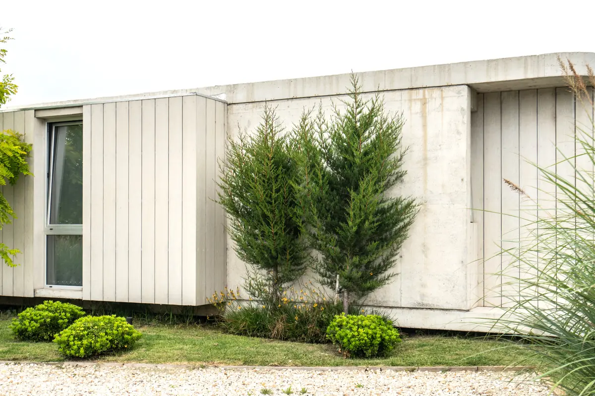 Fachada moderna con revestimiento de madera vertical y árboles altos — proyecto casa sr, por GARAGE arquitectura