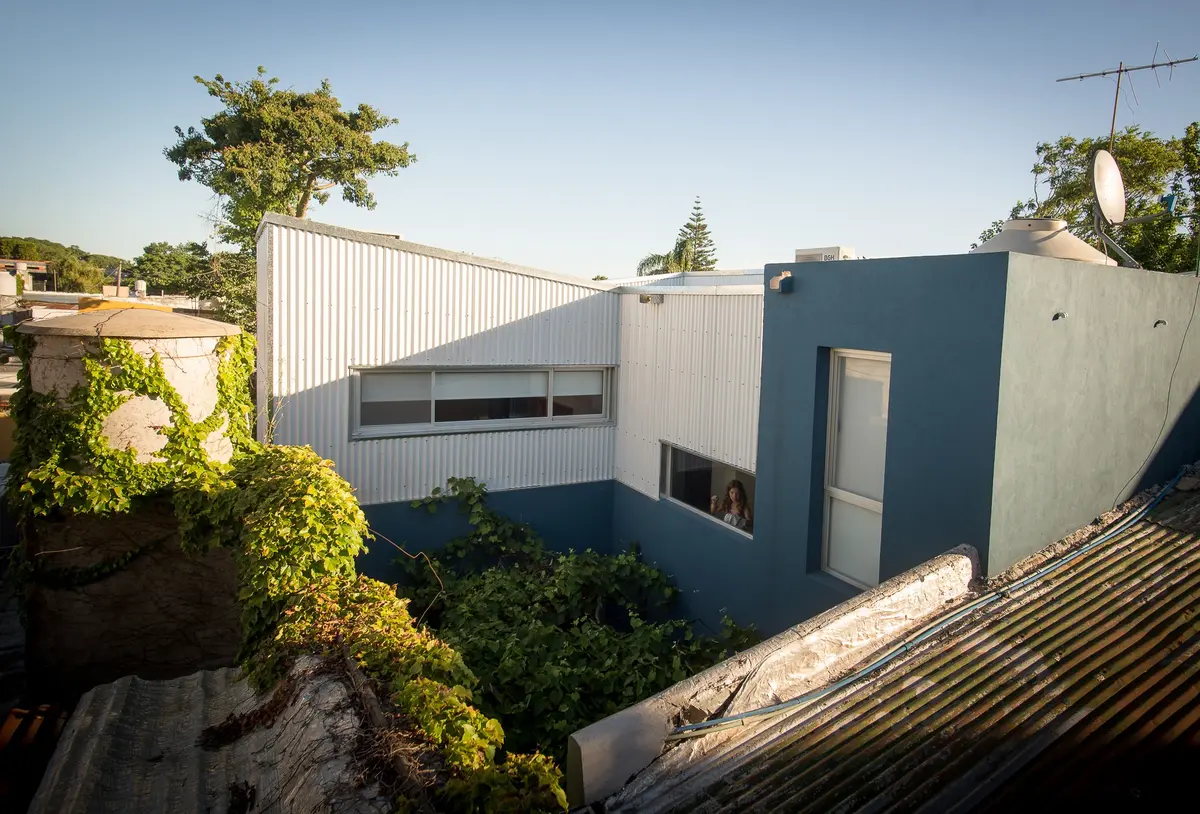 Fachada residencial moderna com vegetação exuberante e metal corrugado — projeto Calle 67, por Mercedes  klappenbach, em La Plata