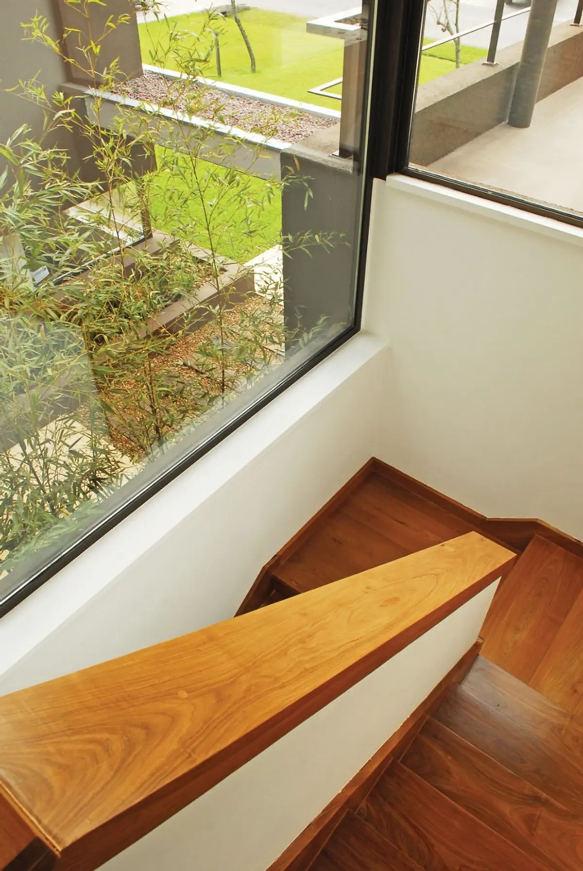 escadas flutuantes modernas com vegetação interna e janela grande — projeto Casa RFM, por Estudio Gamboa