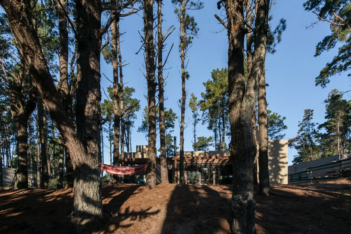 Fachada rústica moderna de madeira entre árvores altas — projeto Costa Esmeralda Casa MAI Lote 374 Deportiva, por Arquitecto Caceres, em Costa Esmeralda