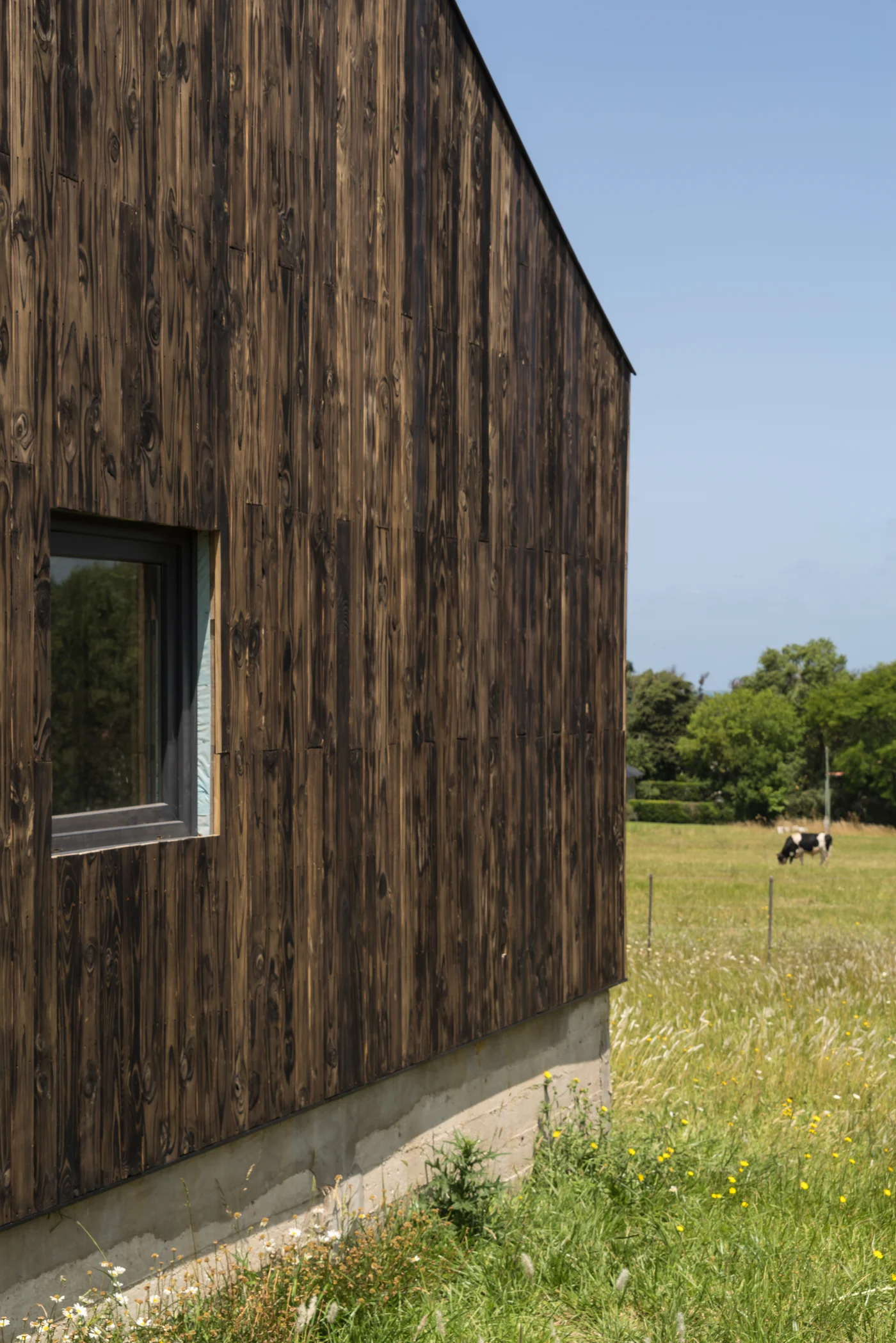 fachada moderna de madera quemada en entorno rural