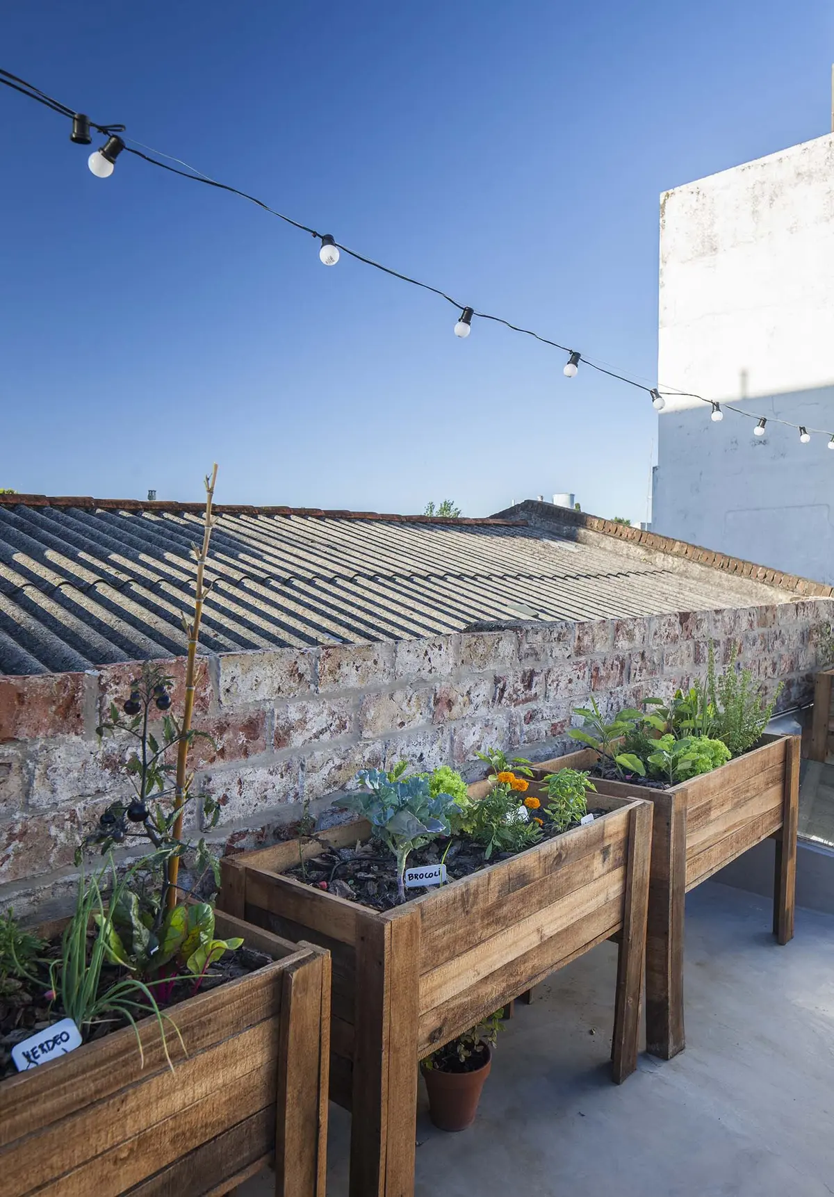 Terraza con huerto urbano y luces colgantes — proyecto Casa Lavalle, por Silvia Soqueff, en CABA