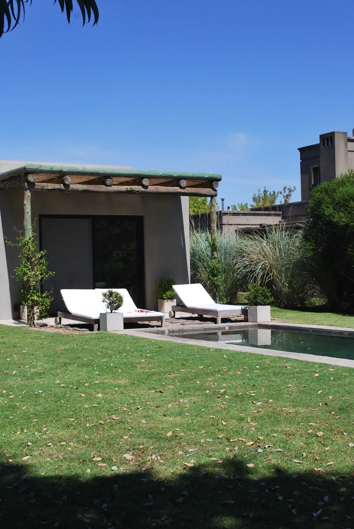 Pileta moderna con tumbonas blancas y pérgola de madera — proyecto Pilará 68, por Detry Miguens Arquitectura, en Pilará