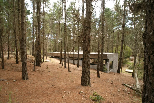 Foto del proyecto