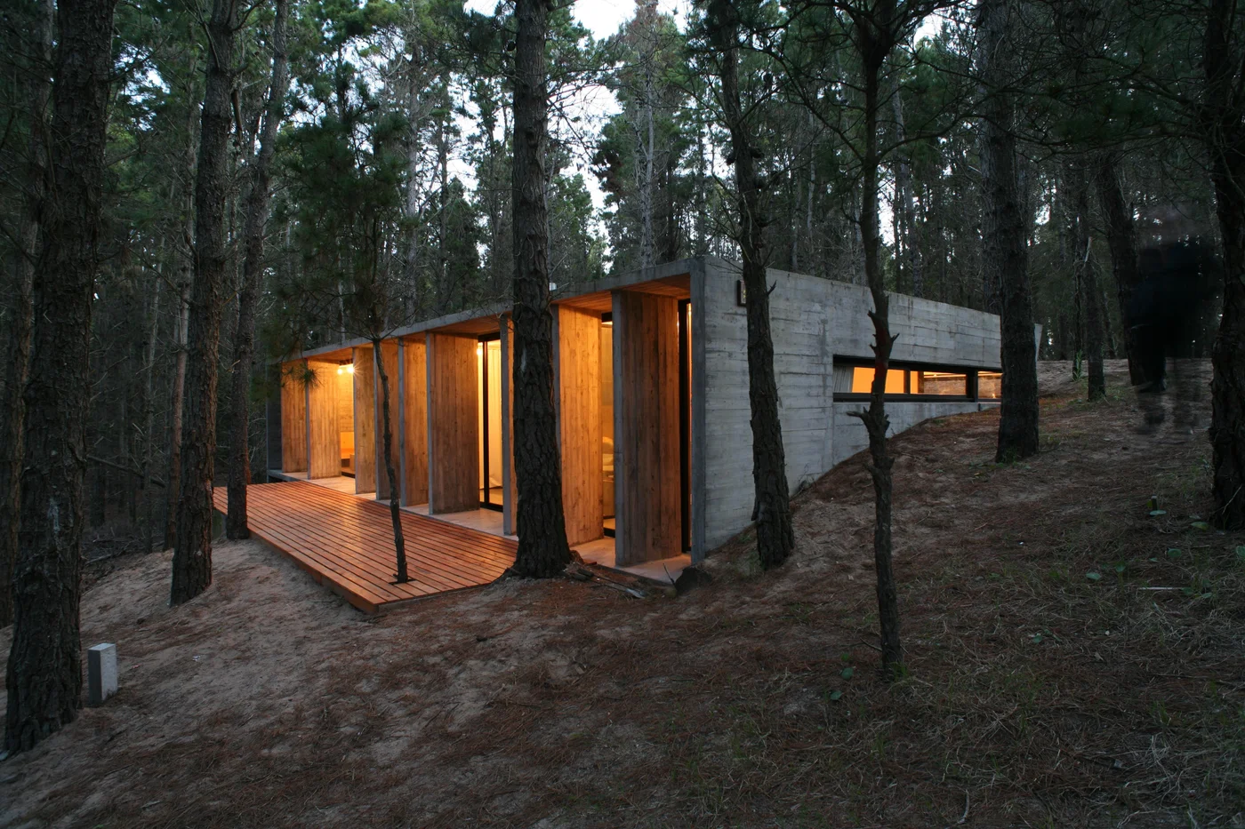 Casa moderna de hormigón y madera iluminada entre árboles al atardecer